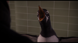 Пингвины мистера Поппера / Mr. Popper's Penguins (2011) Blu-Ray CEE