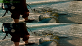 История дельфина / Dolphin Tale (2011) BDRip 1080p | 3D-Video 