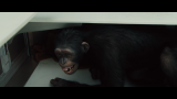 Восстание планеты обезьян / Rise of the Planet of the Apes (2011) Blu-Ray 