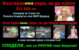 70104811829414248768.jpg